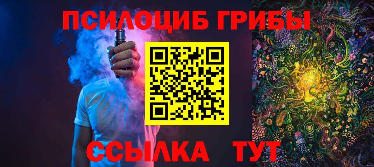 Ессентуки  Псилоцибиновые грибы прущие грибы  Вход с VPN 