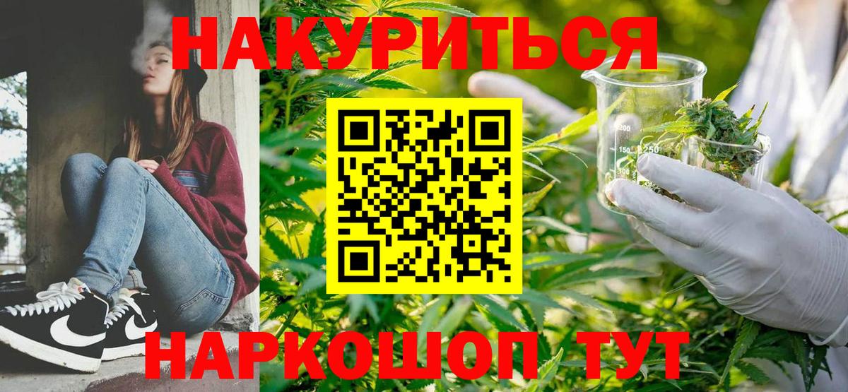 Бошки марихуана сатива Ессентуки